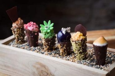 La charme Collection